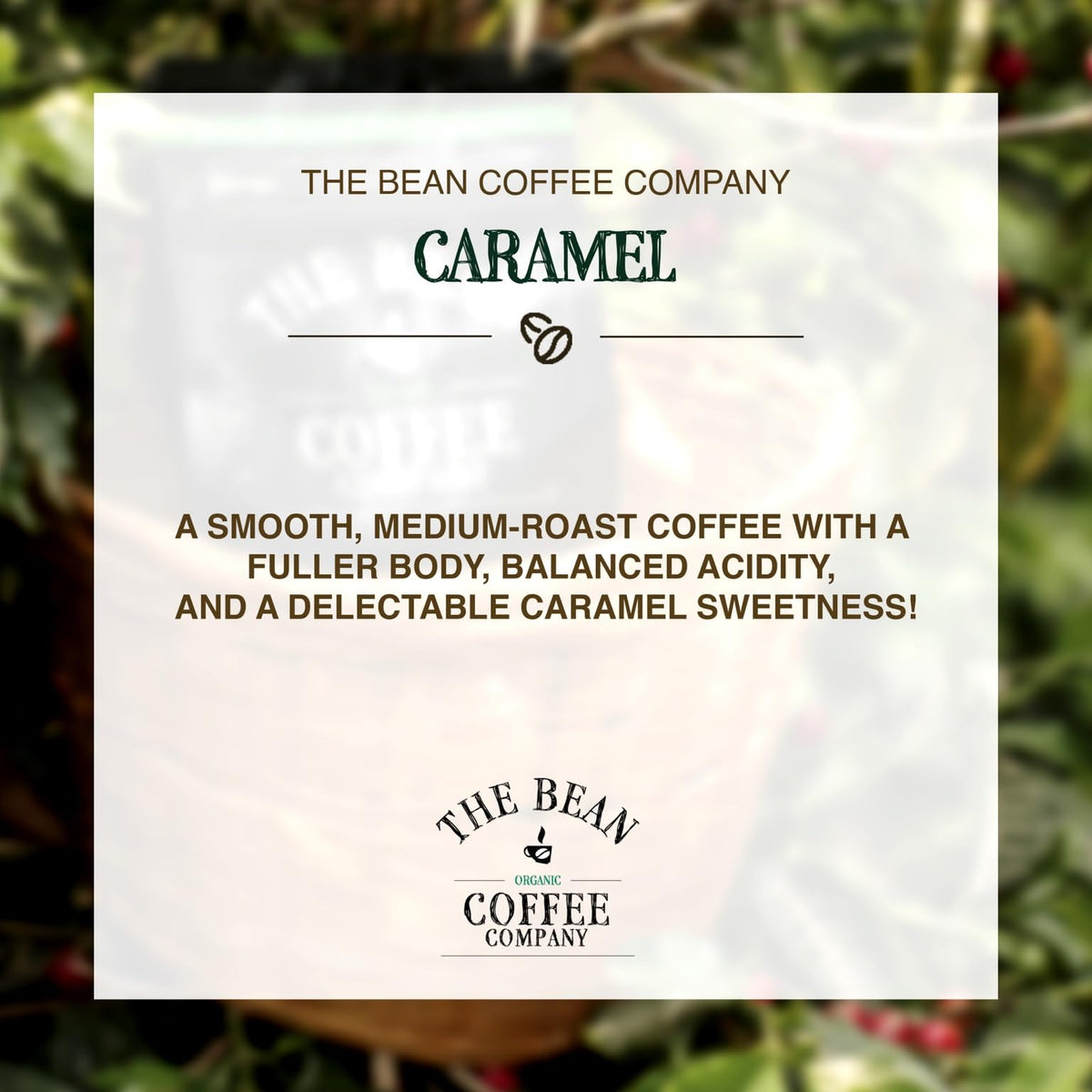 The Bean Organic Coffee Company Caramel, Medium Roast, Whole Bean Coffee, 5-Pound Bag