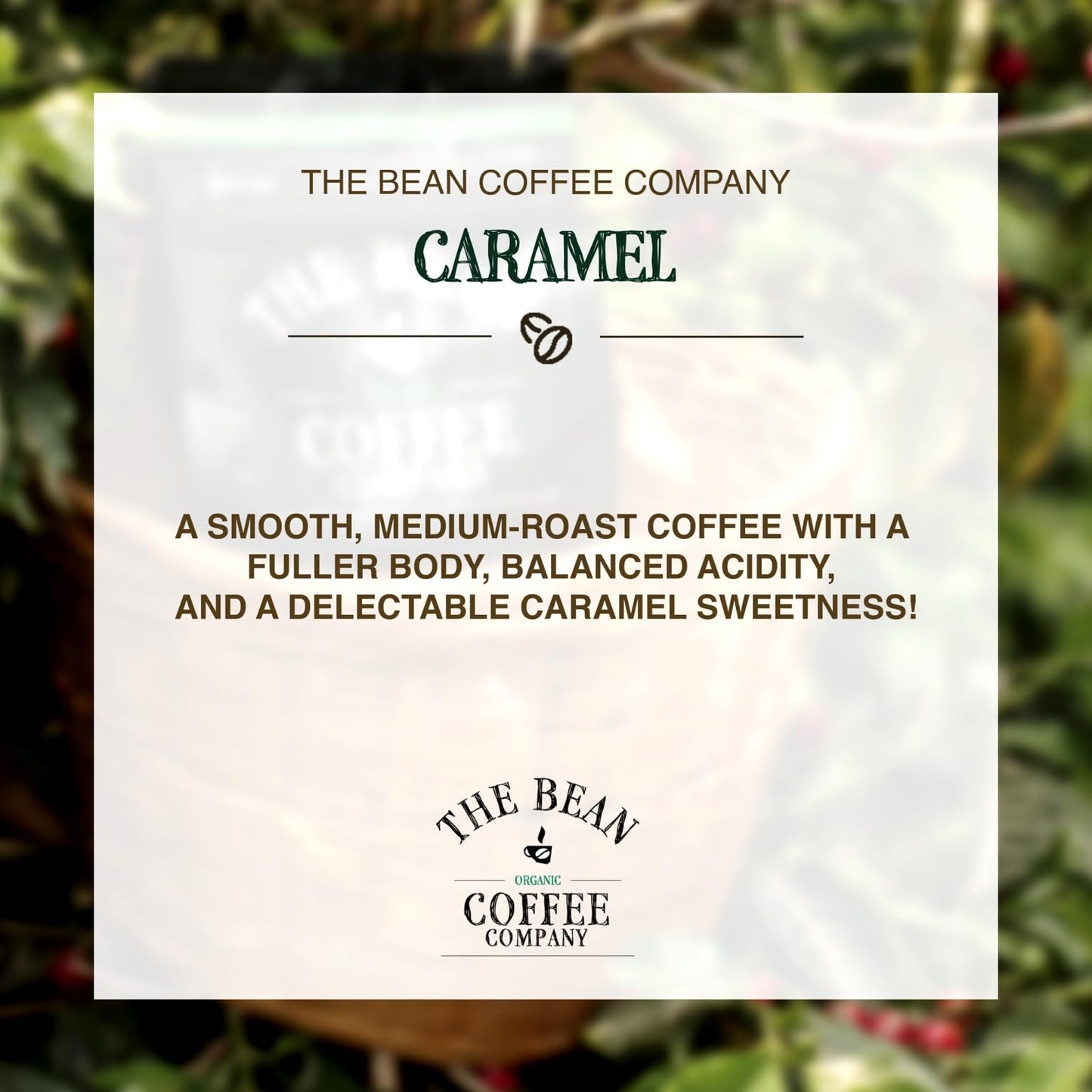 The Bean Organic Coffee Company Caramel, Medium Roast, Ground Coffee, 16-Ounce Bag, Caf   Molido Tostado Org  Nico
