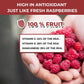 100% Canada Raspberries - Natrihealth Freeze Dried Raspberries 20G