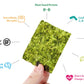 gimMe Snacks | Organic Roasted Seaweed | Sea Salt | (5g) - (Pack of 1) | non-GMO & Gluten-Free