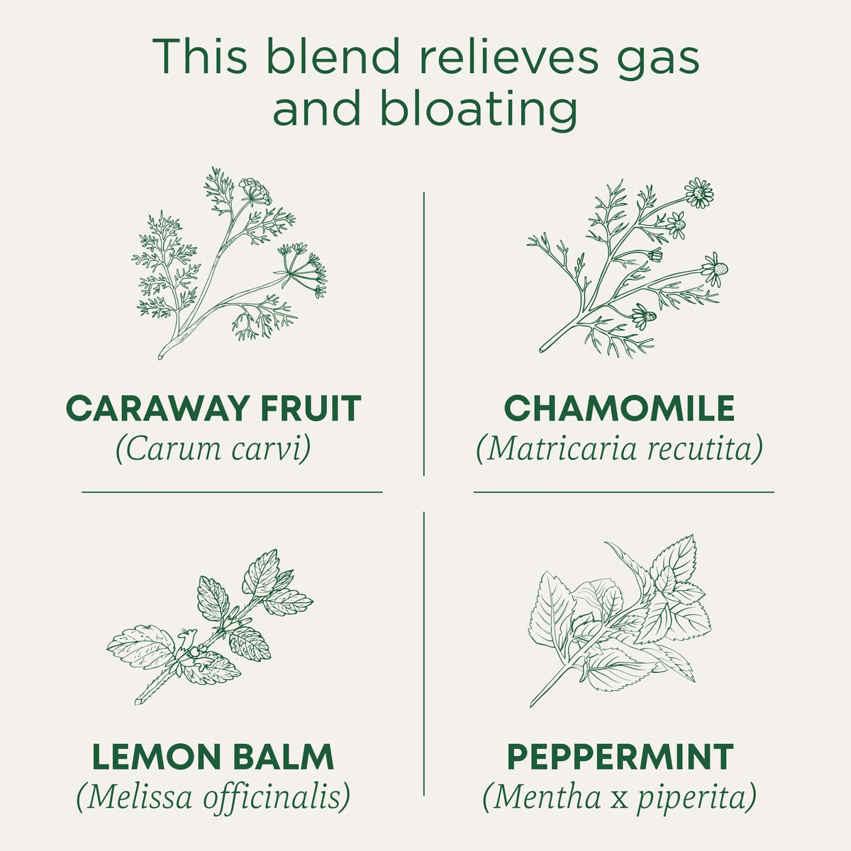 Traditional Medicinals Tea, Organic Gas Relief, Relieves Gas & Bloating, Chamomile Mint, 16 Count (Pack Of 6)