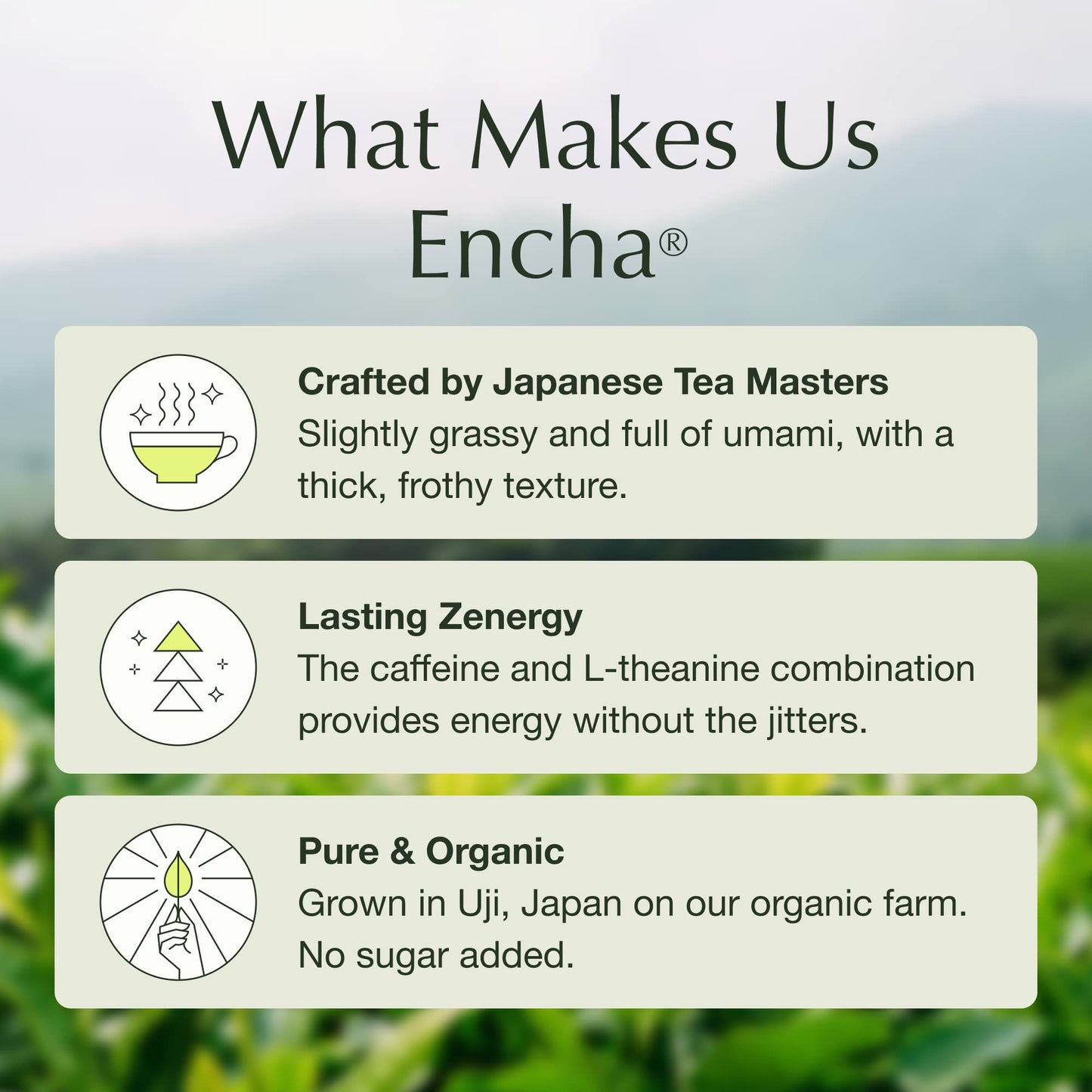 Encha Matcha Powder - First Harvest Organic Unsweetened Green Tea, 60g/2.12 Ounce, Ideal for Lattes and Smoothies, Organic Latte