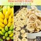 Dried Banana Chips | 1Lb Bulk Bag Fresh Sweetened Dehydrated Banana Fruit Slices | Snacking & Baking | Low In Sodium, Cholesterol, Fat, High Fiber, Egg, Dairy Free | Light Sugar Added By Oh Nuts