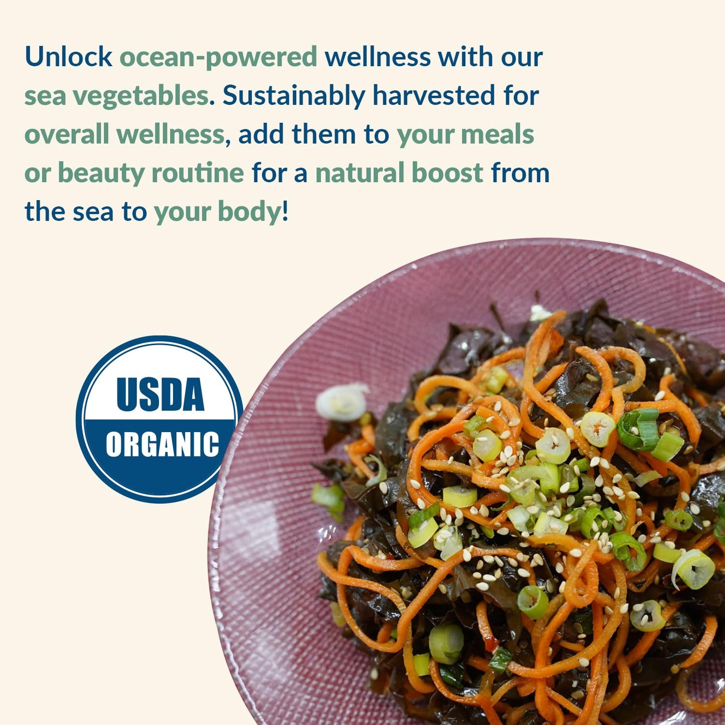 Maine Coast Sea Vegetables Sea Salt With Sea Veg Shaker | Wild-Harvested Sea  Seasoning | Organic Dulse & Kelp Blend | Rich In Iodine | Great For Soups & Salads | 1.5 Oz (Pack Of 1)