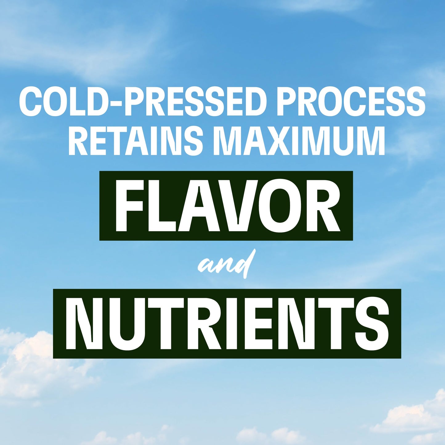 Evolution Fresh Mighty Watermelon Cold-Pressed Vegetable & Fruit Juice Blend 32 oz.