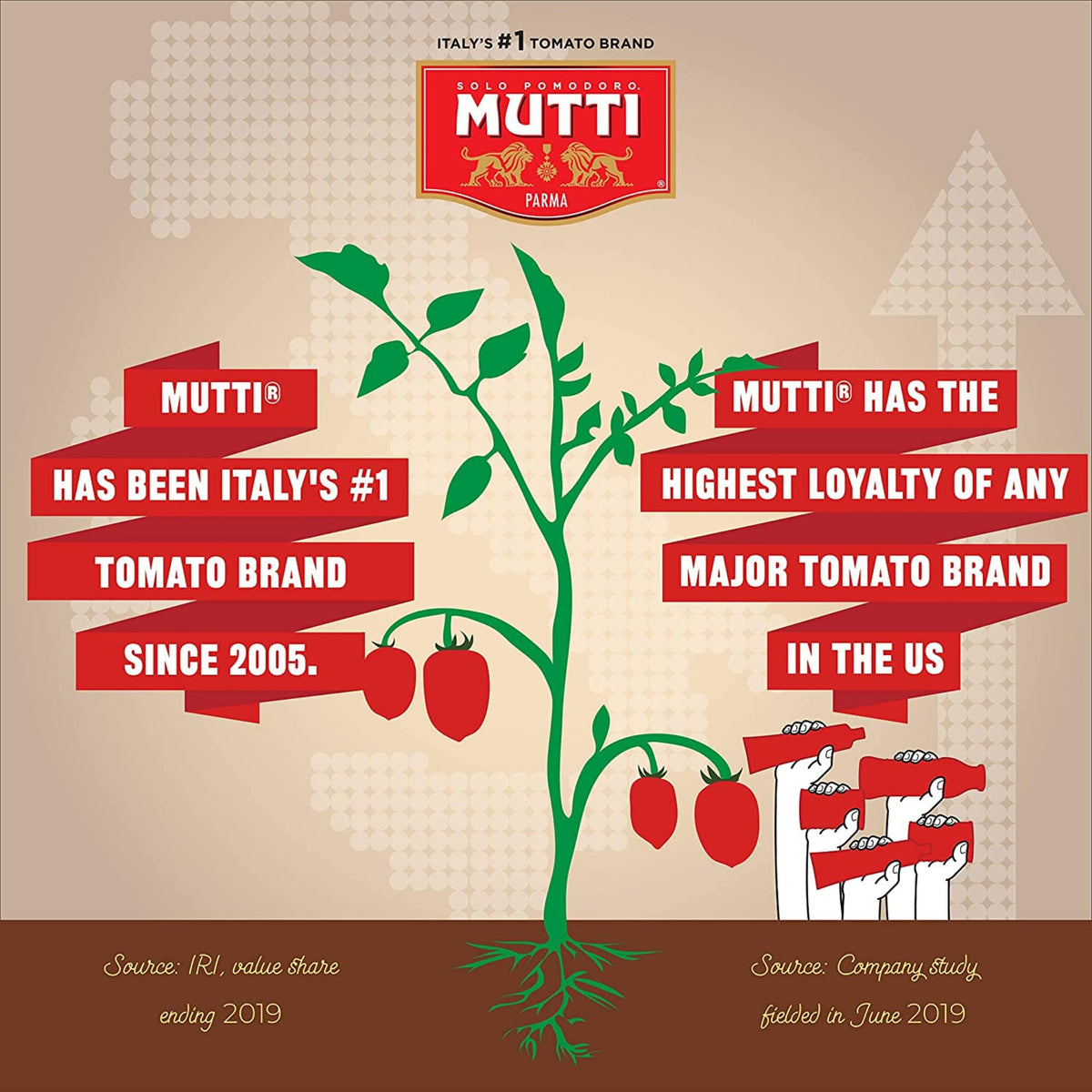 Mutti Organic Tomato Puree (Passata), 19.7 Oz. | 6 Pack | Italy’S #1 Brand Of Tomatoes | Fresh Taste For Cooking | Bottled Tomatoes | Vegan Friendly & Gluten Free | No Additives Or Preservatives