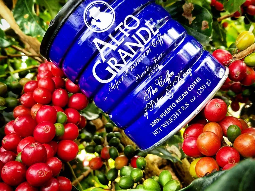 Alto Grande Super Premium Coffee Ground 8.8Oz (9-Cans)