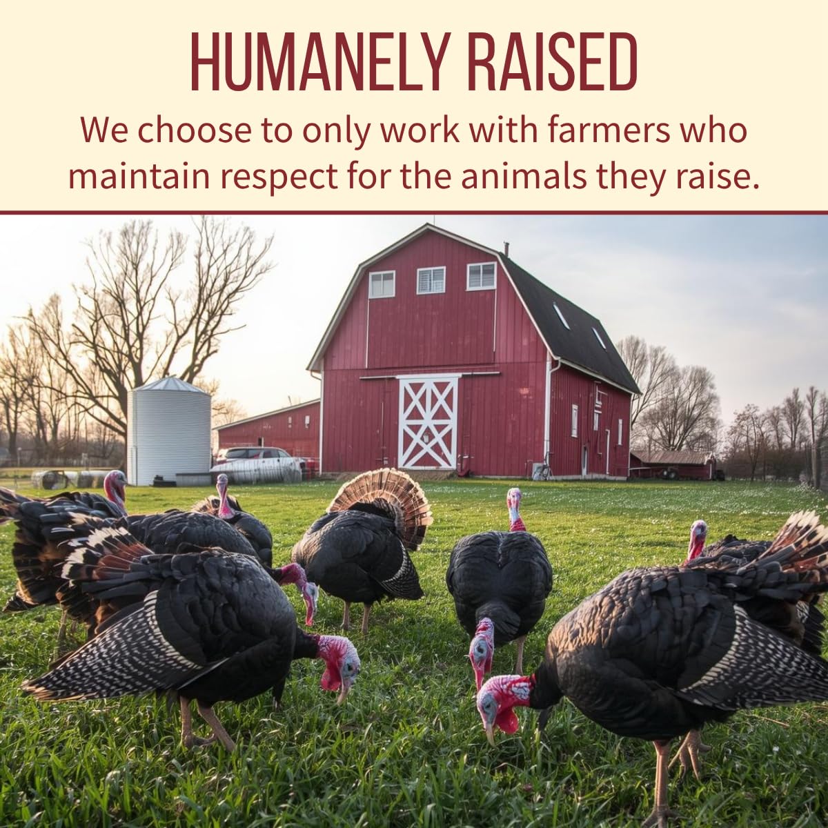 Wellshire Farms 8oz Uncured Turkey Bacon - Made from Organic Turkey Thighs with No Antibiotics or Hormones, a Lean and Flavorful
