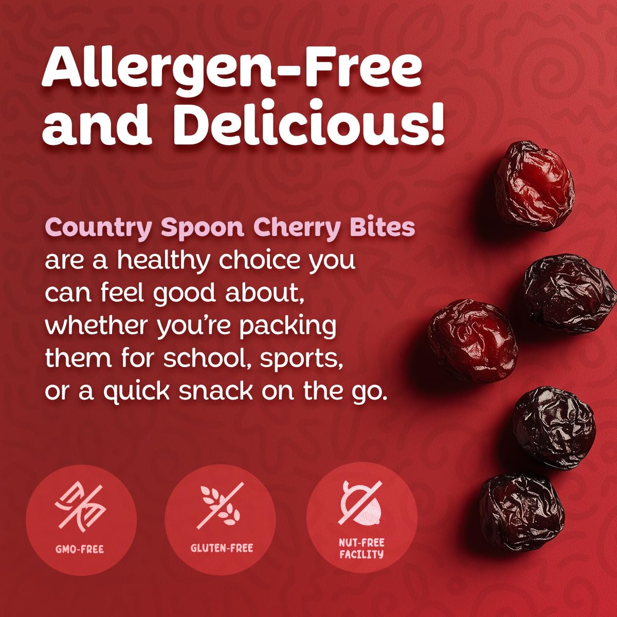 Country Spoon Real Fruit Snacks for Kids - 24 Variety Pack | Dried Tart Cherries Flavored with Orange, Raspberry, Peach & Lemon