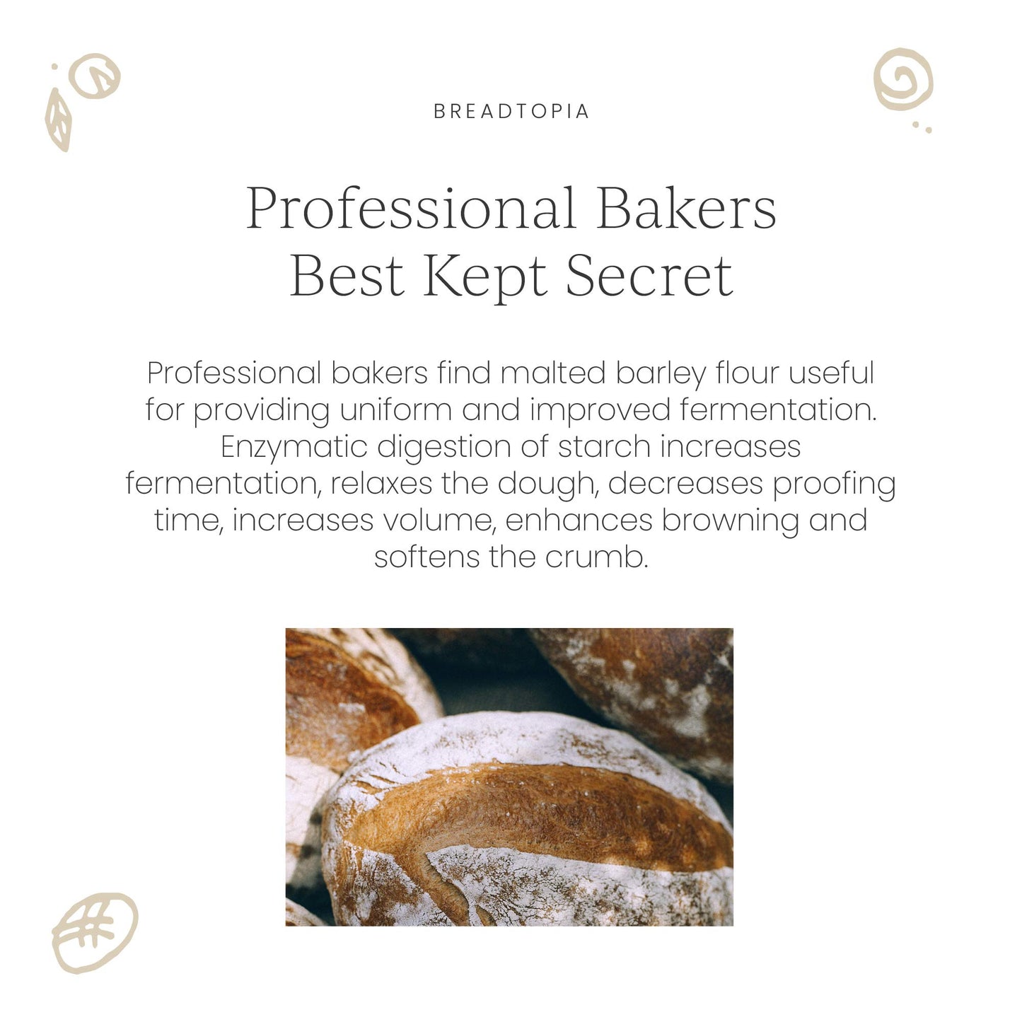 Breadtopia Organic Diastatic Malt Powder, Non-GMO, 8 oz, No Additives, No Sugar, Milled from Whole Malted Barley Kernel