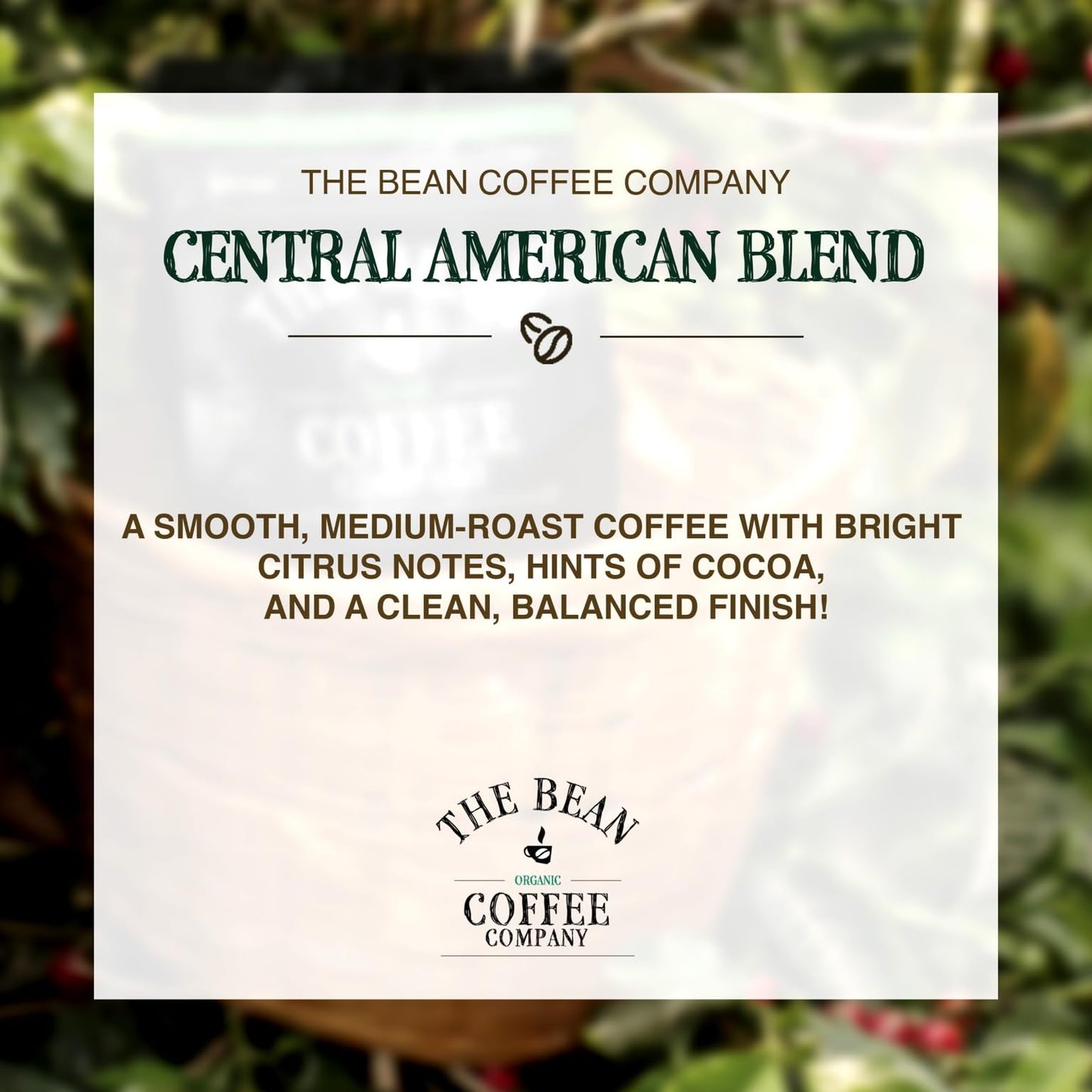 The Bean Organic Coffee Company Central America, Medium Roast, Ground Coffee, 5-Pound Bag,Caf   Molido Tostado Organico