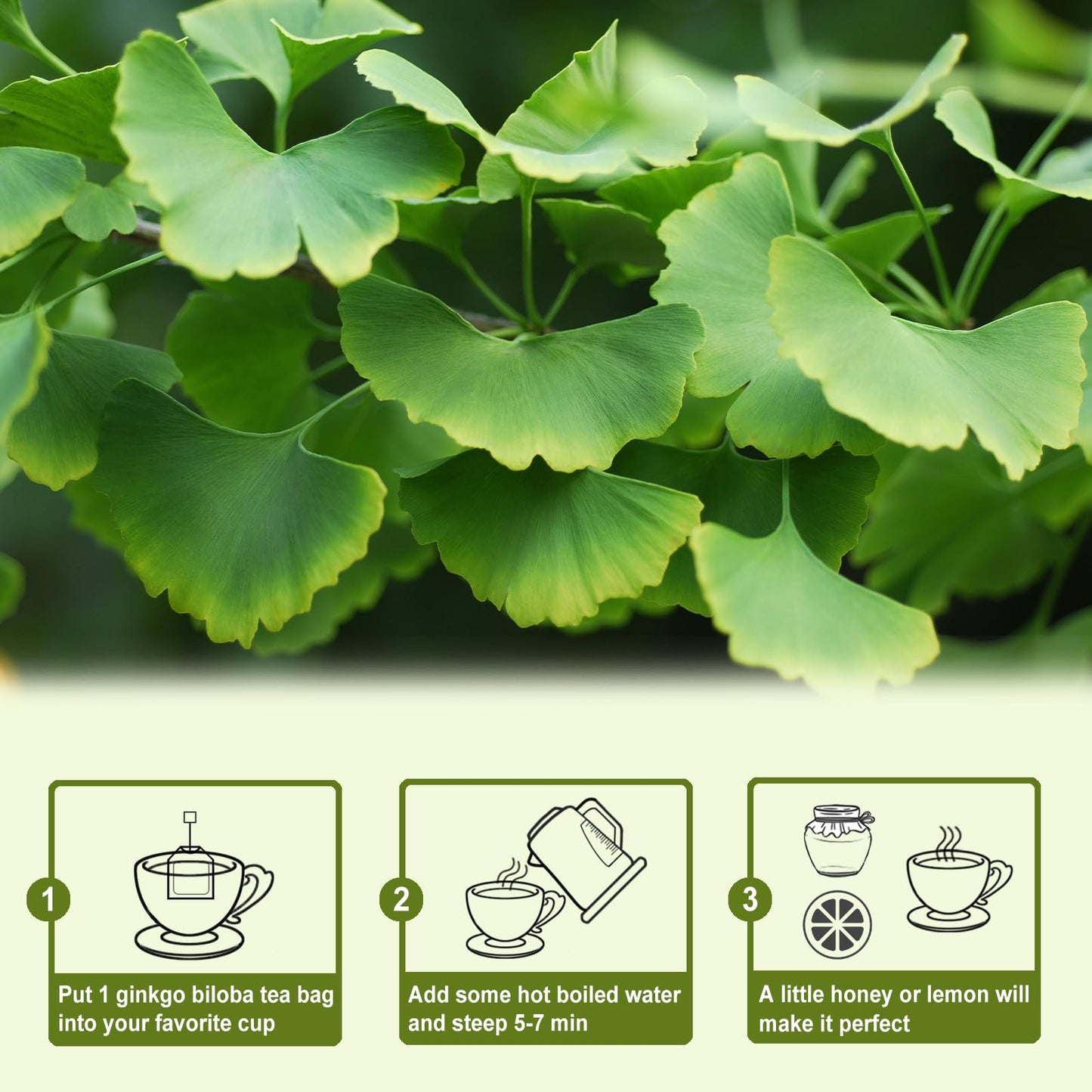 TEARELAE Ginkgo Biloba Tea Bags - 100% Pure Leaves, Non-GMO, Caffeine-free - 50 Count