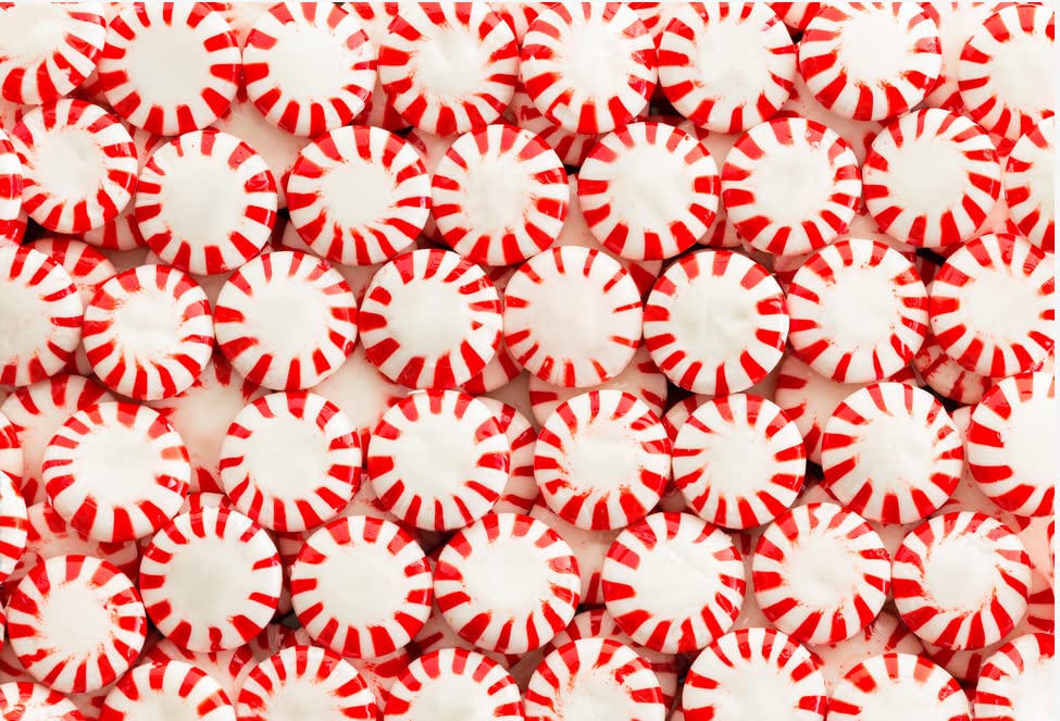 SweetGourmet Sugar-Free Peppermint Starlights | Naturally Flavored | 1 Pound