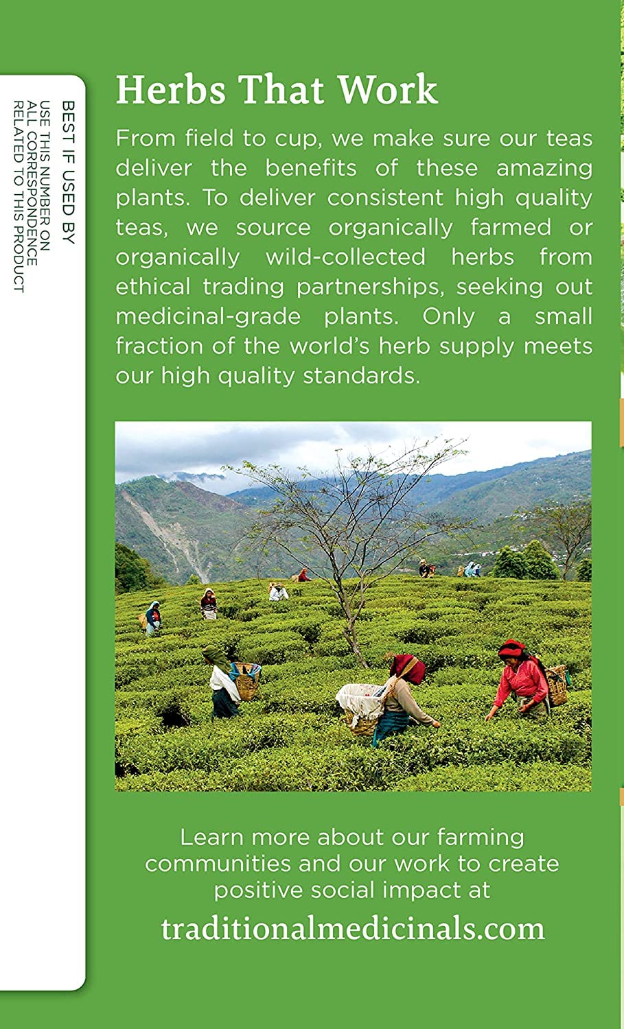Traditional Medicinals Green Tea Matcha, 96 Tea Bags Total, 0.85 Ounce (Pack of 6)