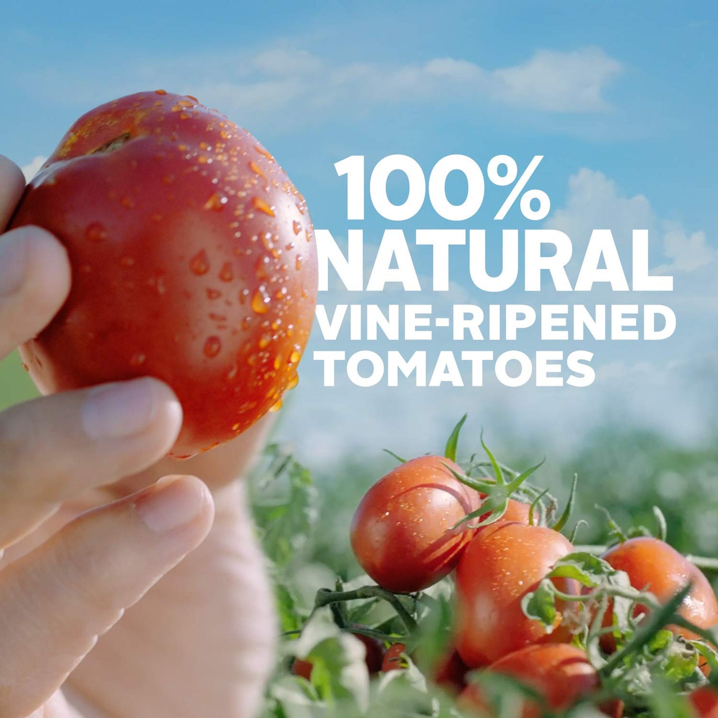 Hunt'S Tomato Paste, 6 Oz, 24 Pack
