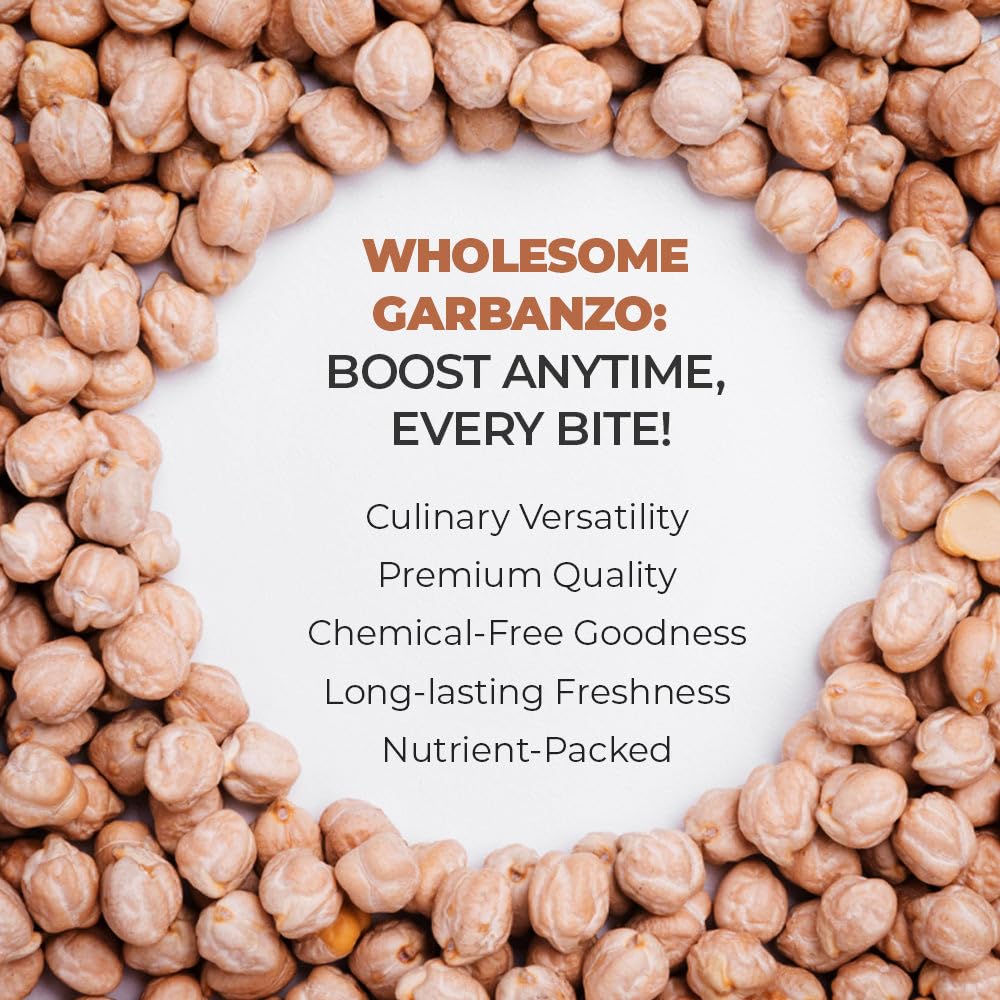 Pride Of India - Pack Of 6 - Indian Whole White Garbanzo Beans 10Mm - Protein & Fiber Rich Kabuli Chana, 1.5 Pound Jar