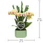 Green Circle Growers 4 Yellow Orchid Duo in Sage Green Pot with Love You Mom and Preserved Green, Live Indoor Plants, House Plan