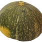 Organic Kabocha Squash