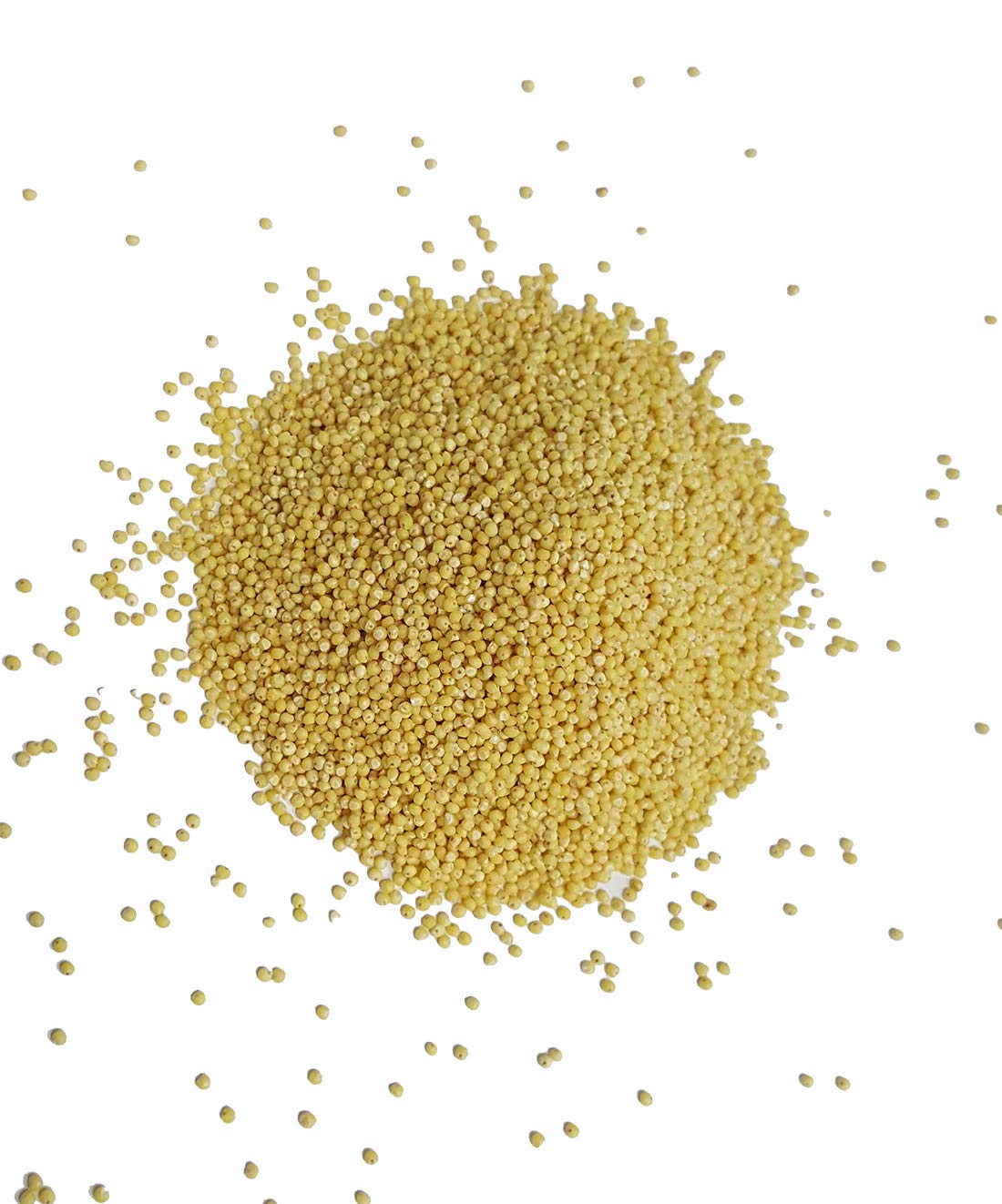 PRIMAL HARVEST Organic Millet Seeds, Non-GMO, Gluten-Free, 5 Pound Bulk