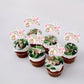 Gyufise Jungle Animal Cupcake Toppers, 36 Pcs, Pink Paper Picks for 2nd Birthday & Baby Shower Decorations