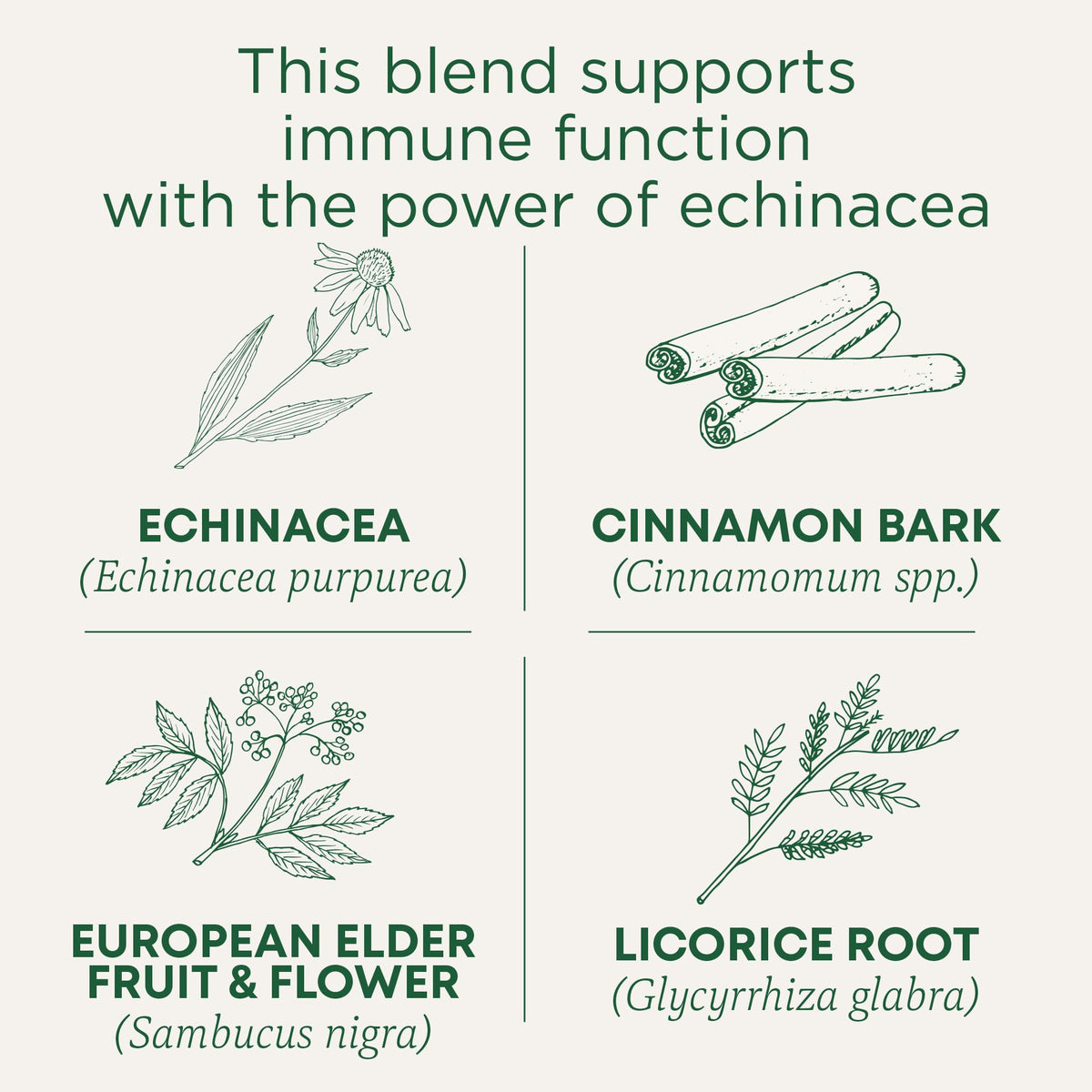 Traditional Medicinals Organic Immune Zoom Tea, Elderberry Echinacea, 16 Tea Bags