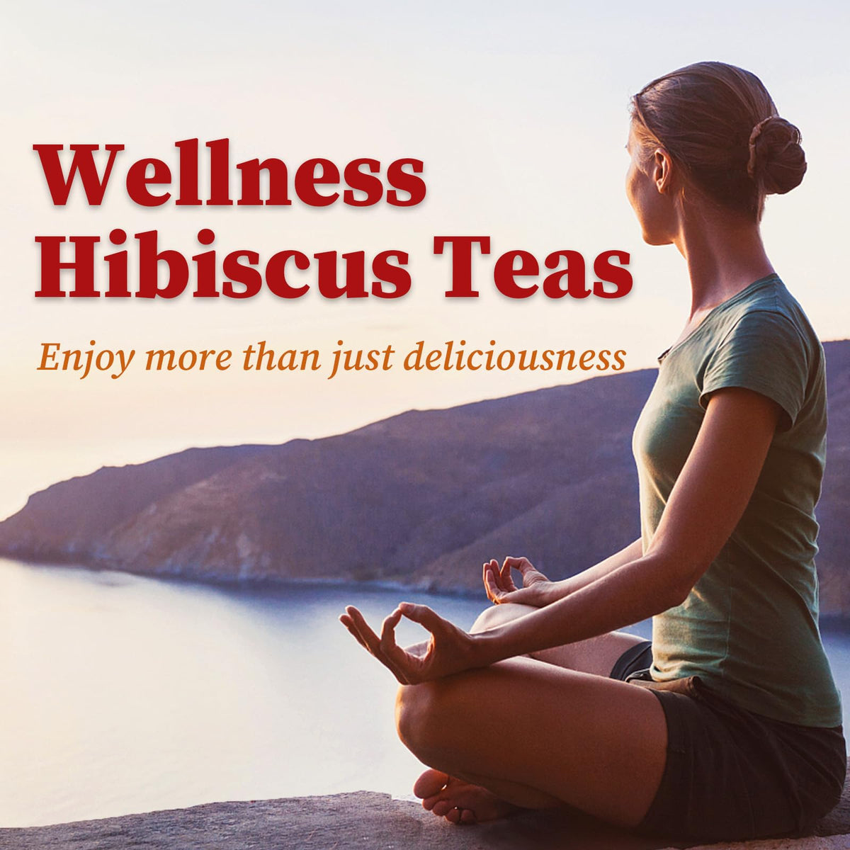 FullChea Hibiscus Flowers, Cut & Sifted, Non-GMO, Caffeine-free, 4oz Loose Leaf Tea