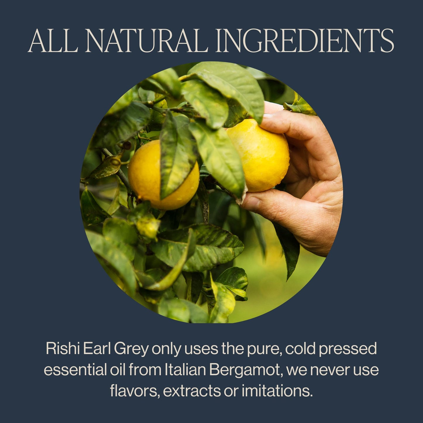 Rishi Tea Earl Grey Tea | USDA Organic Direct Trade Sachet Tea Bags, Certified Kosher Pure Black Tea with Bergamot Oil, Energizi