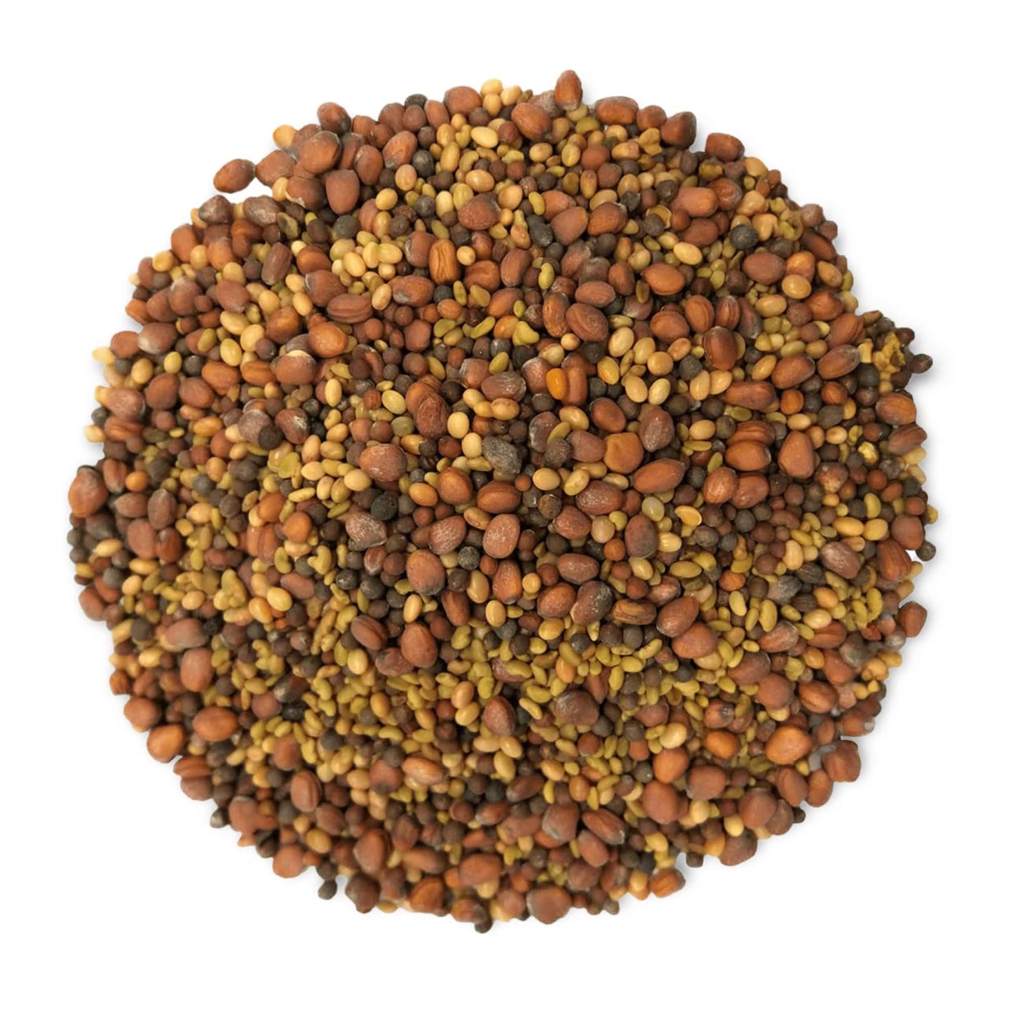 Food to Live Organic Salad Mix of Sprouting Seeds, 10 Pounds - Non-GMO Broccoli, Radish, Clover, Alfalfa. Rich Germination Rate,