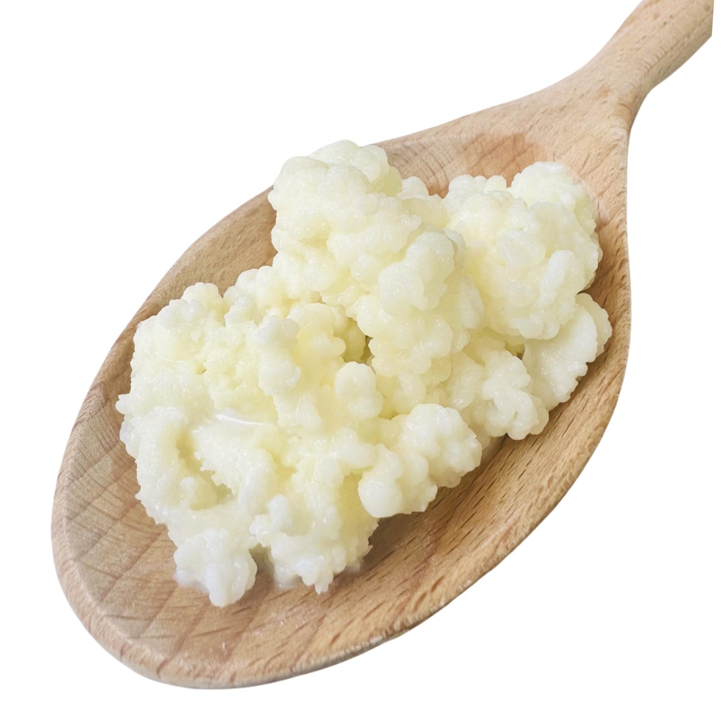 NatuDelight Milk Kefir Grains - 1 TBSP Live Active Probiotic Culture for Homemade Kefir, 1 Fl Oz