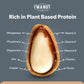 Raw Pine Nuts 16 Oz (1 Lb) | Whole And Natural | No Ppo | Batch Tested Gluten & Peanut Free | Steam Pasteurized | Great For Pest