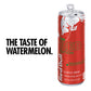 Red Bull Red Edition Energy Drink, Watermelon Flavor, 8.4 Oz, Pack of 24 Cans (2 Packs of 12)