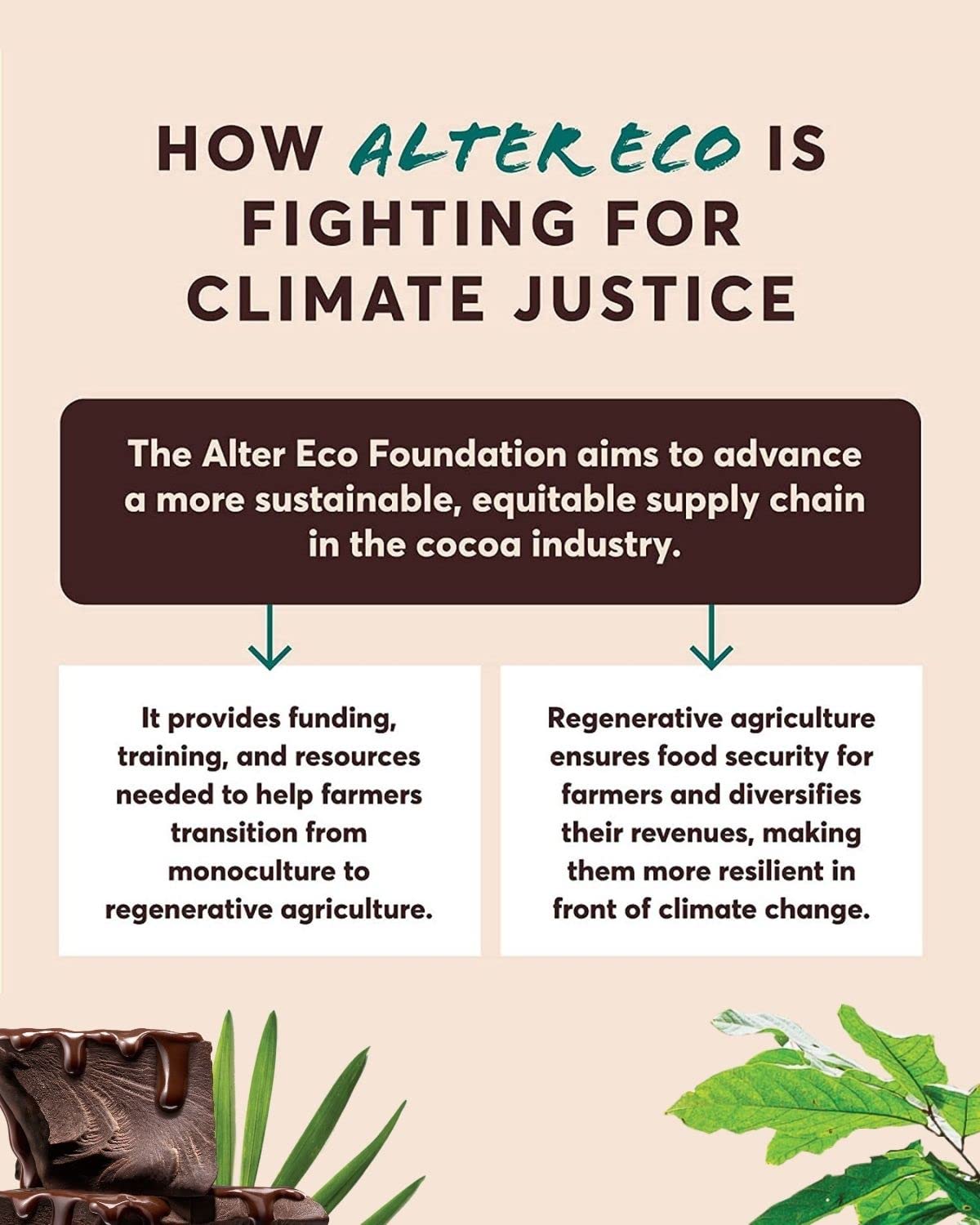 Alter Eco - Truffle Spr Dark Chocolate - Case Of 8-4.2 Oz
