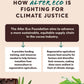 Alter Eco | Mint Creme Truffles | 58% Pure Dark Cocoa, Fair Trade, Organic, Non-Gmo, Gluten Free Dark Chocolate Truffles | 60 Tr