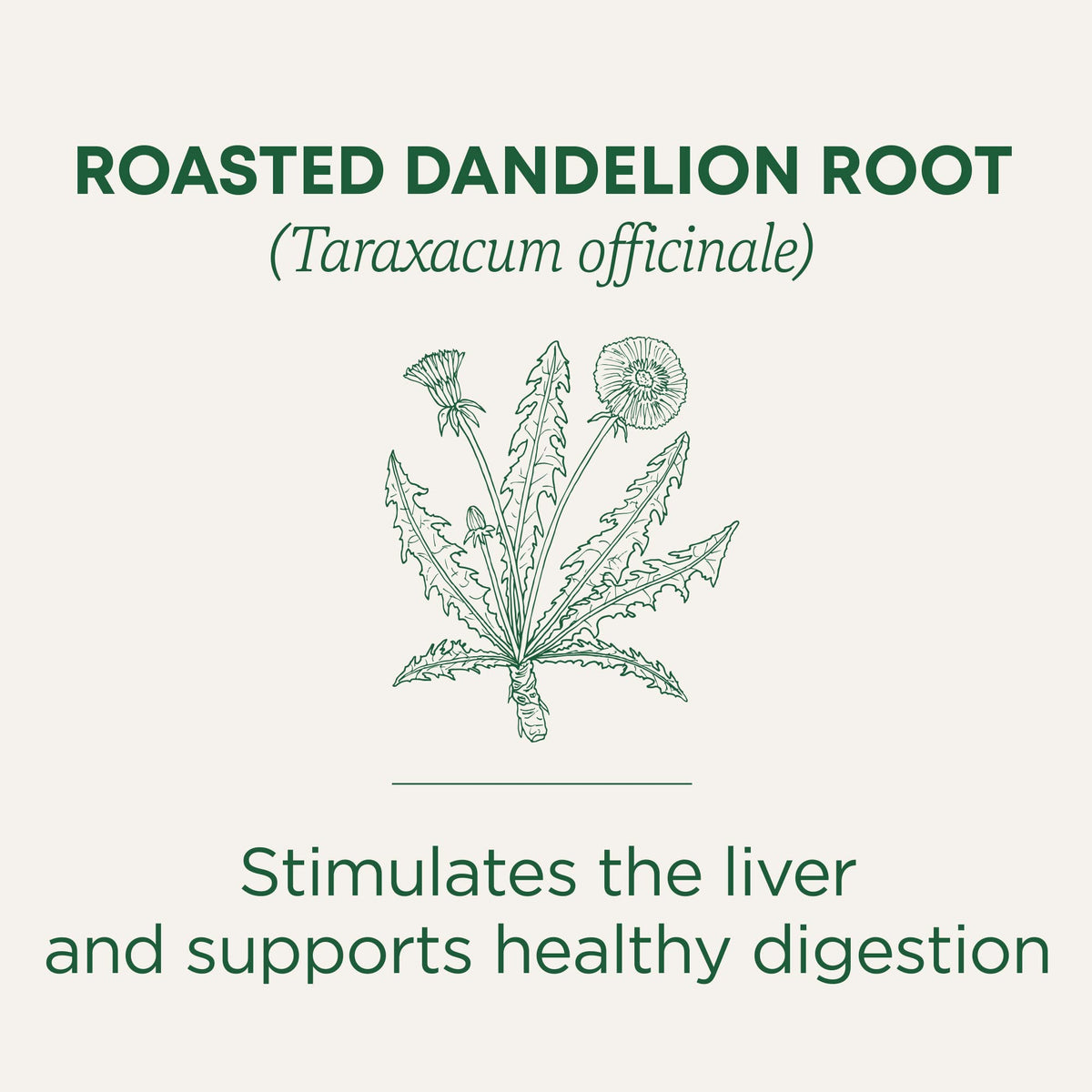Traditional Medicinals Roasted Dandelion Root Herbal Tea, 16 ct