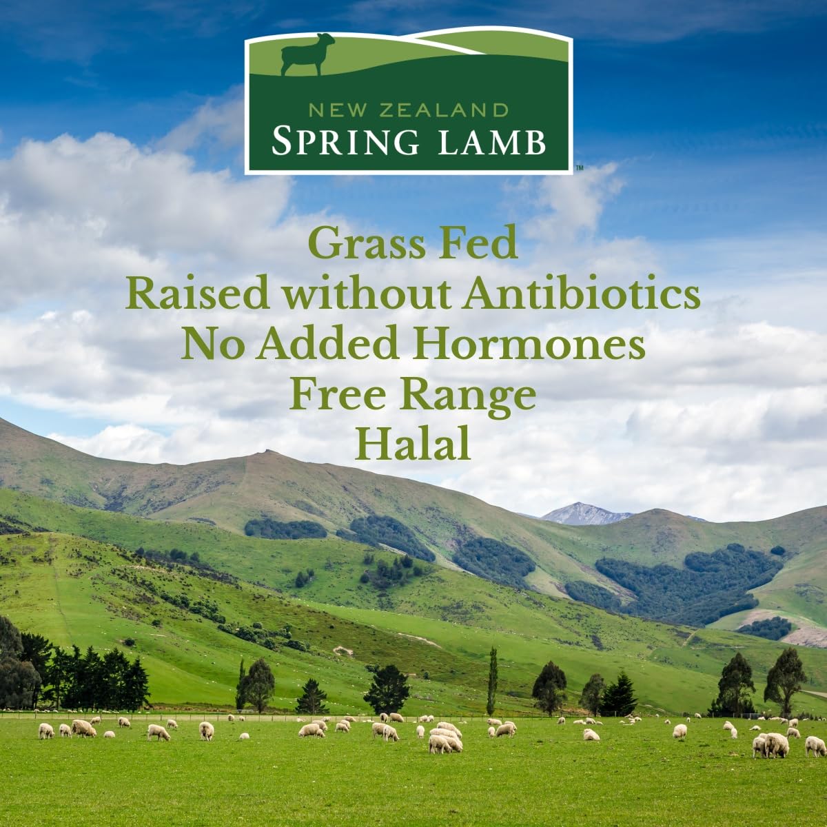 New Zealand Spring Lamb, Fresh New Zealand Half Boneless Netted Lamb Leg, 2 lb