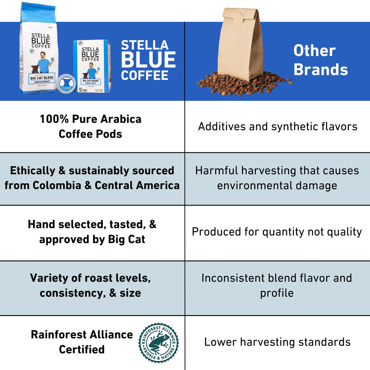 Stella Blue Fresh Whole Bean Coffee - Big Cat Blend - 100% Arabica Medium Roast - Ethically & Sustainably Sourced From Central A