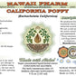 Hawaii Pharm Organic California Poppy Glycerite Herbal dietary product 4 Fl Oz Glass