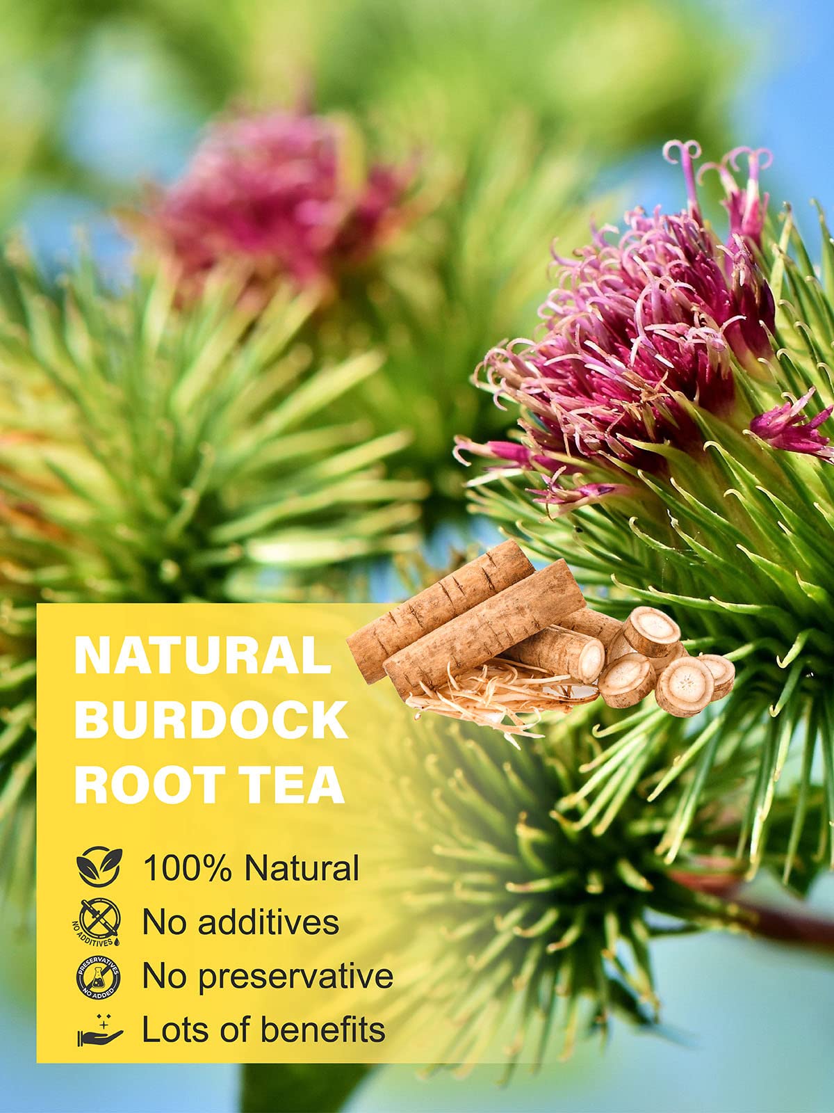 TeeLux Burdock Root Tea, Cut & Sifted, Caffeine Free, 16oz Loose Leaf Herbal Tea