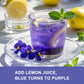 JTEDZI Butterfly Pea Flower Powder 3.5 Oz (100g) - Natural Blue & Purple Food Coloring - Blue Matcha Powder for Drinks, Baking,