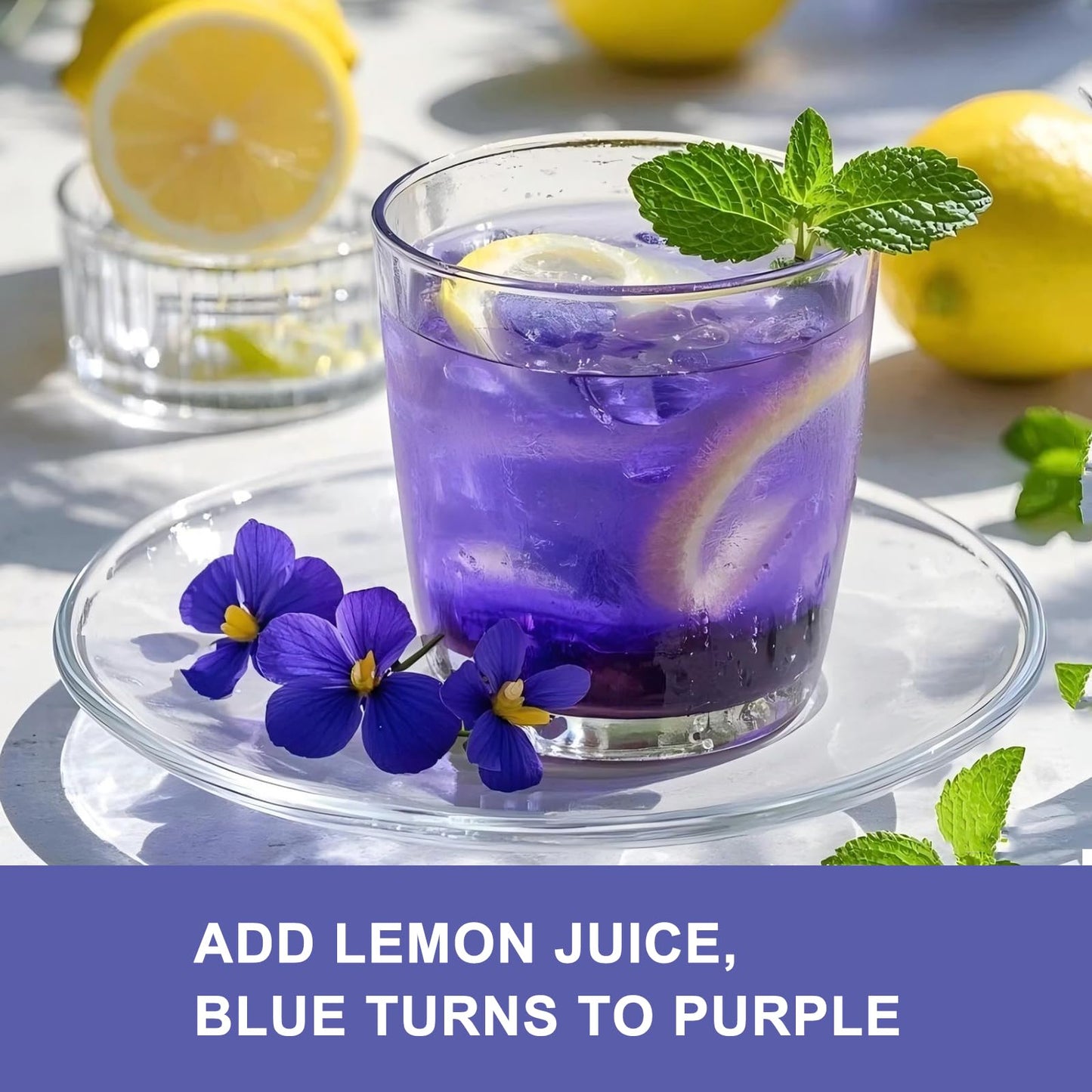 JTEDZI Butterfly Pea Flower Powder 3.5 Oz (100g) - Natural Blue & Purple Food Coloring - Blue Matcha Powder for Drinks, Baking,