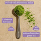 Ancient Roots Lavender Matcha Green Tea Powder, 100% Japanese, Monk Fruit Sweetened, 10.5 Ounce