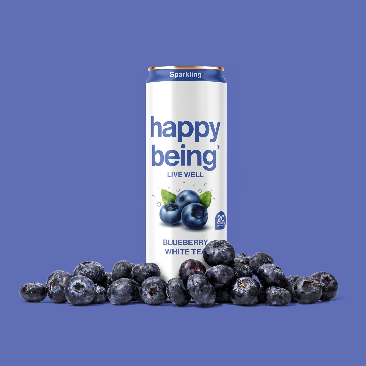Happy Being Blueberry White Tea - Sparkling, Low Calorie, Caffeine Free, 12oz, 16 Pack