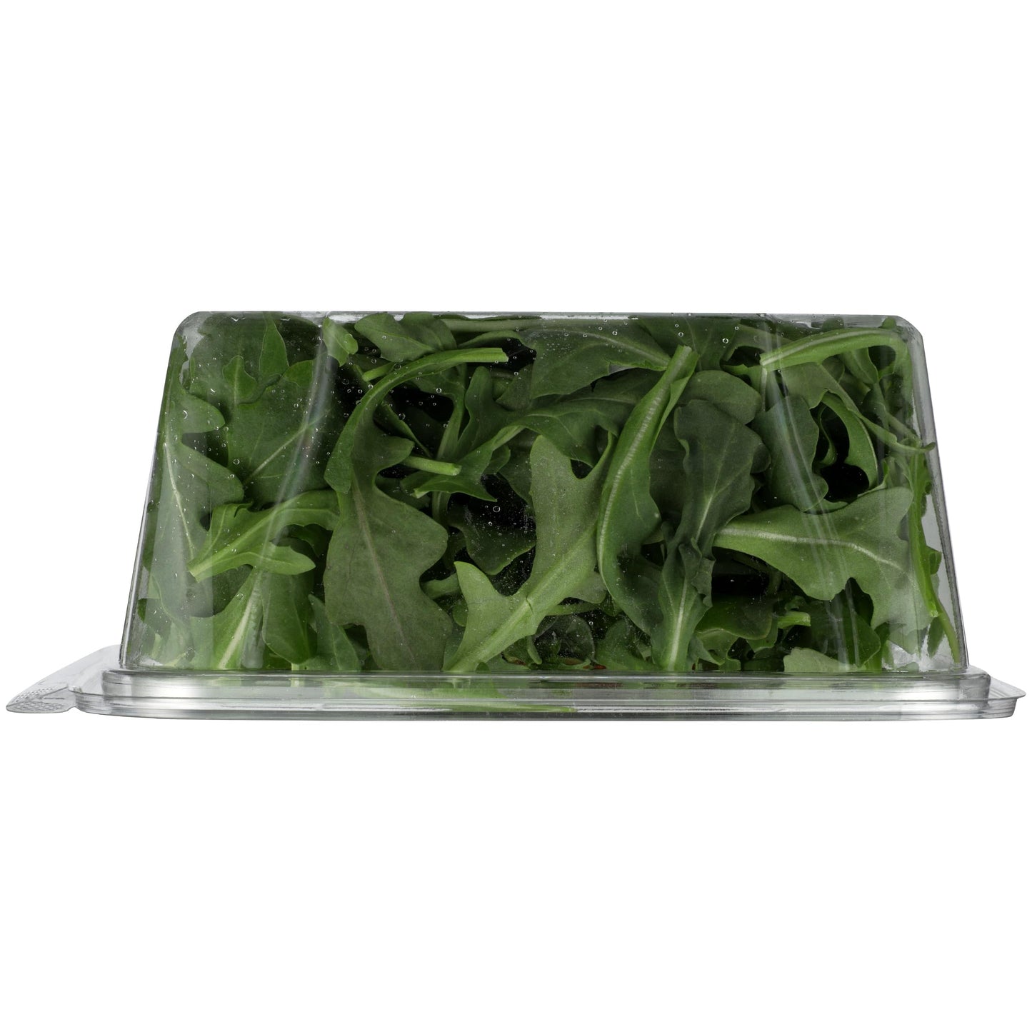 Satur Farms Wild Arugula, 5 oz Clamshell
