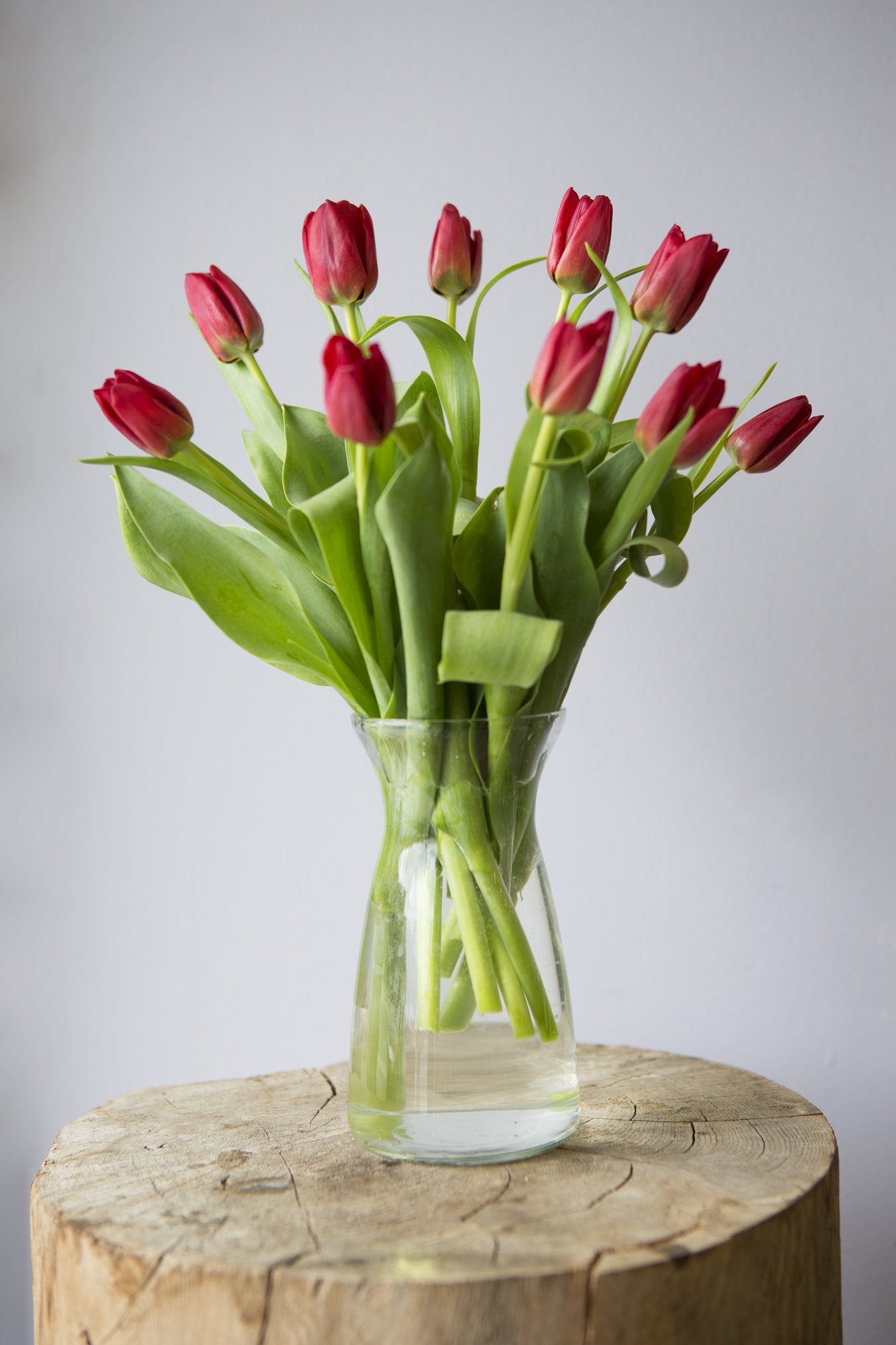 Kabloom Prime Next Day Delivery - Mother’S Day Collection - Bouquet Of Fresh Red Tulips (Farm-Fresh, Cut-To-Order And Homegrown In The Usa). Gift For Birthday, Mother’S Day Fresh Flowers
