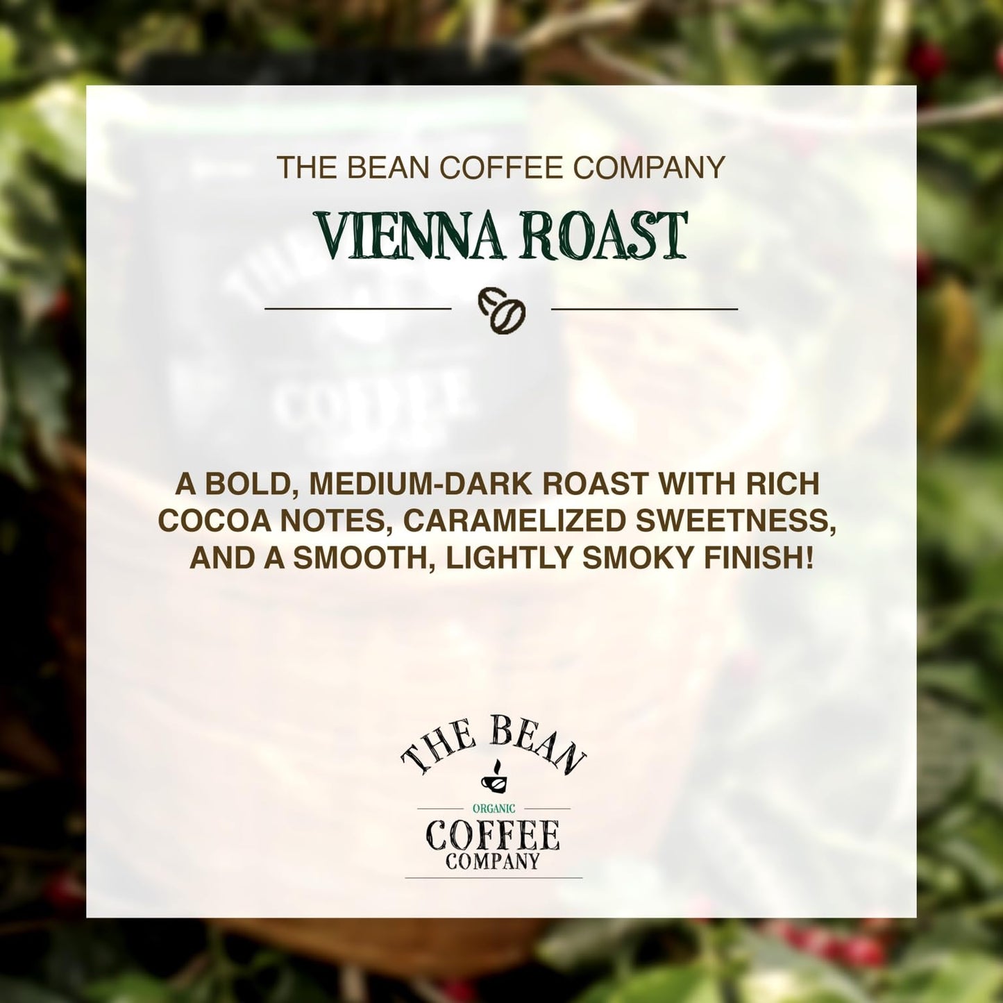 The Bean Organic Coffee Company Vienna Roast, Medium, Ground Coffee, 16-Ounce Bags (Pack Of 2), Caf   Molido Tostado Org  Nico