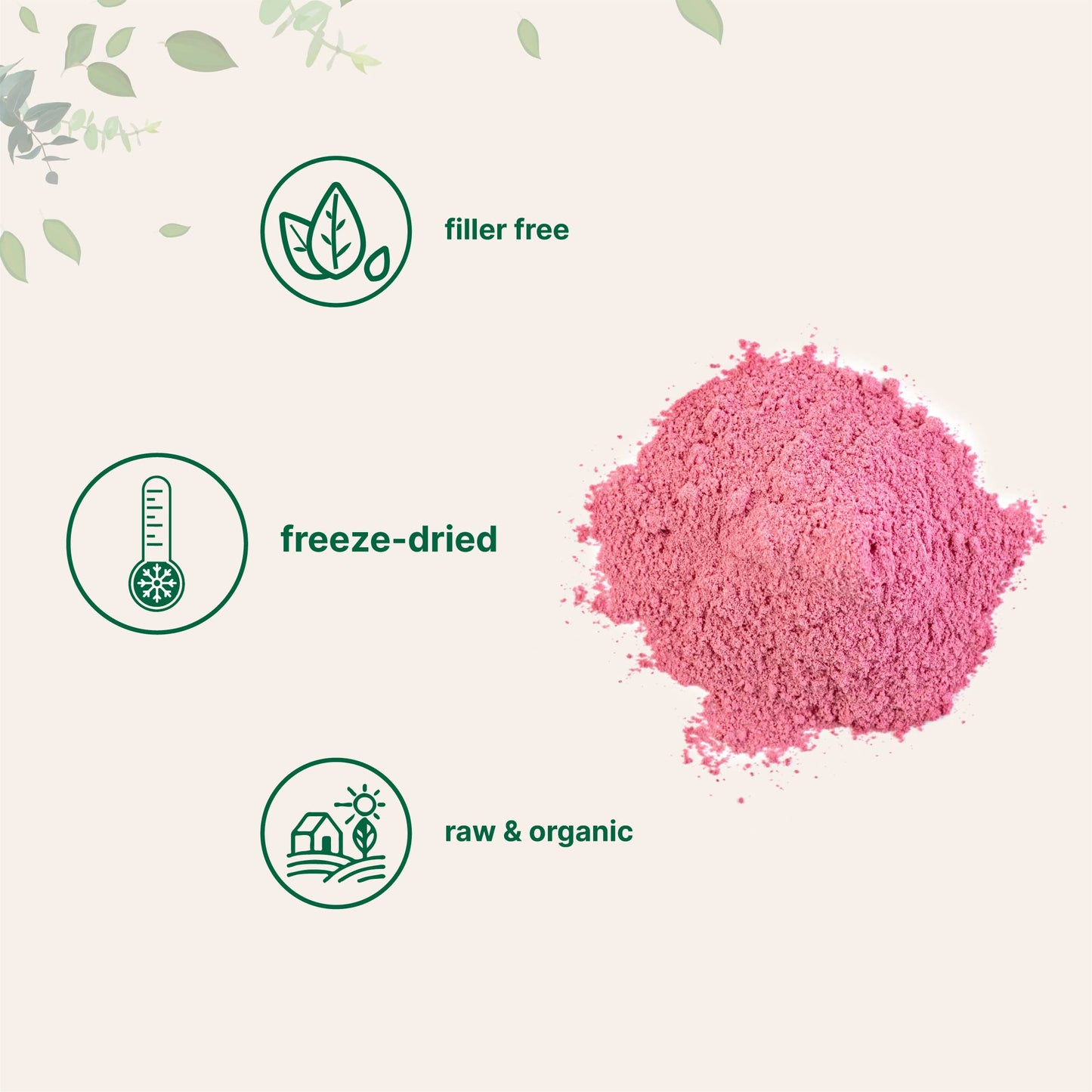 Organic Strawberry Powder, 1 Lb | 100% Natural Fruit Powder | Freeze-Dried Strawberries Source | No Sugar & Additives | Great Fl