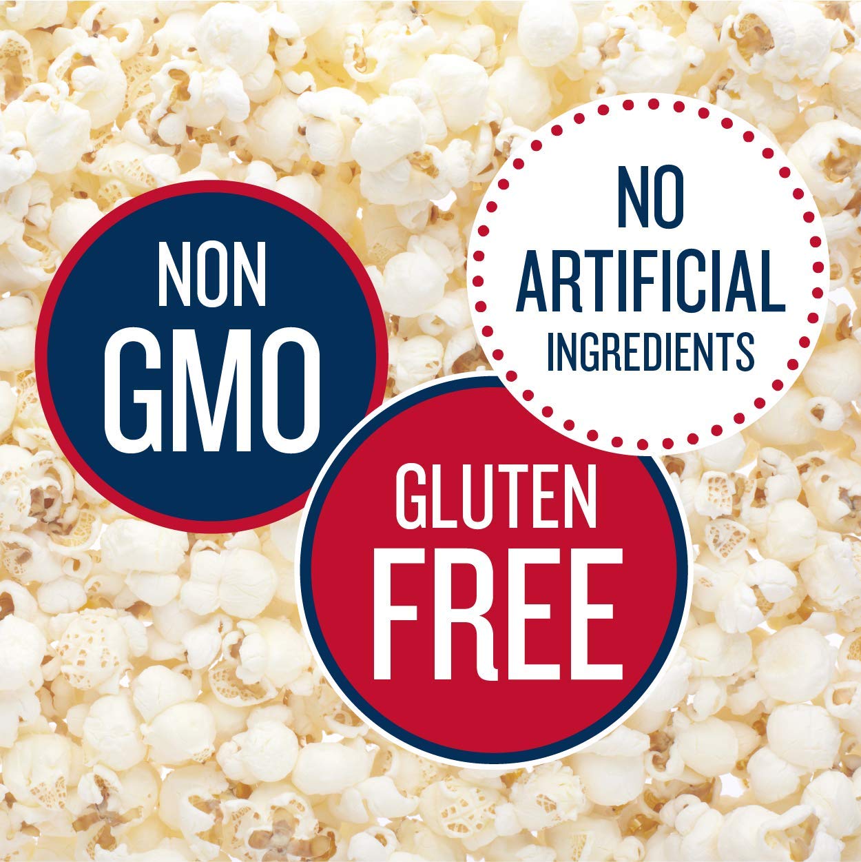 Skinnypop Popcorn, Gluten Free, Non-Gmo, Healthy Snacks, Skinny Pop Dairy Free White Cheddar Popcorn Snack Packs, 065 Oz Individ