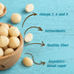 TROPICAL CRUNCH Macadamia Nuts Lightly Salted Roasted Nuts 24 oz