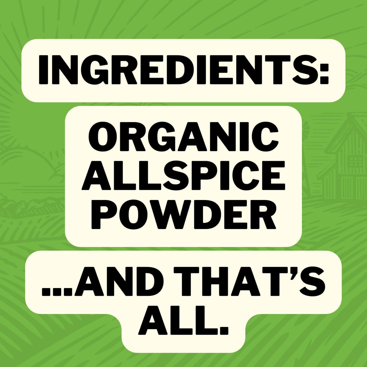 FreshJax Organic Allspice Ground Spice - 3.9 Ounce Large Bottle