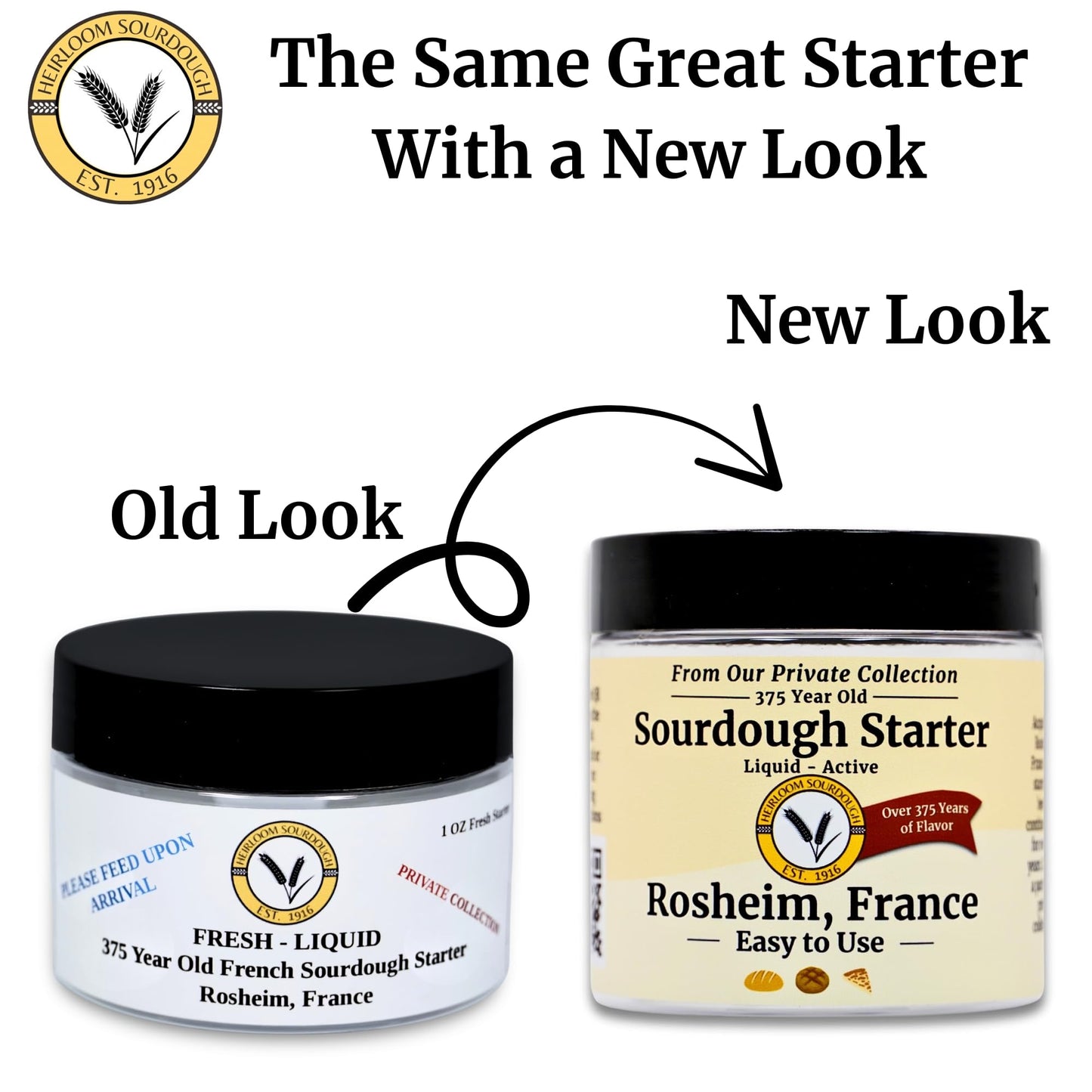 Generic 375-Year-Old French Sourdough Starter | Easy Instructions | 2 Ounce Pack